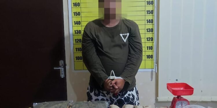 Nodai Bulan Suci Ramadhan, 2 pria Bawa 9,19 Kilogram Ganja Dibekuk Tim Gabungan Polda Kalbar, BNN dan Bea Cukai Kalbar.