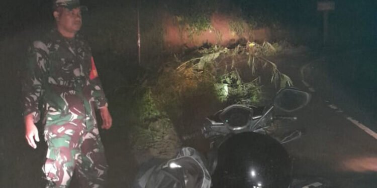 Tanggap Bencana, Bainsa Datangi Lokasi Longsor Jalur SSB.