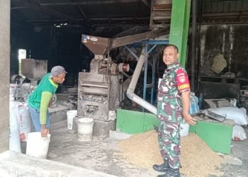 Pastikan Ketersediaan Beras, Babinsa Datangi Penggilingan Padi.