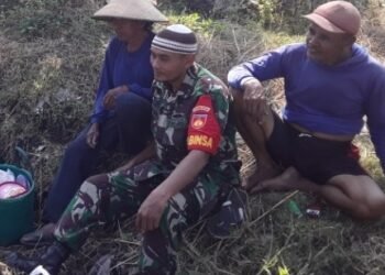 Babinsa Sambi Motivasi Petani Desa Catur.