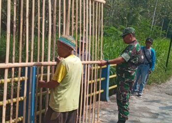 Peduli Lingkungan, Babinsa Bersama Gotong Royong Buat Pagar Bambu di Jembatan.