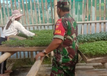 Sukseskan Ketahanan Pangan, Babinsa Komsos Denga Penjual Benih Sayur dan Tanaman.