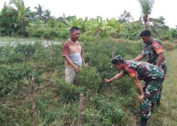Cegah Kerawanan Banjir, Satgas Yonarmed 1 Kostrad Bantu Warga Dirikan Tanggul Sungai