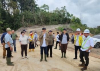 Ada Bayi Pohon Avatar di Tol IKN