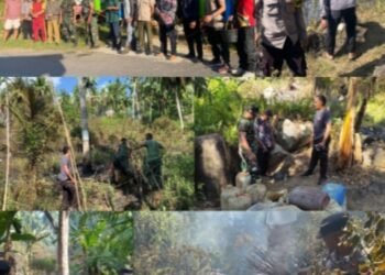 Terjadinya Peristiwa Kebakaran Hutan Dan Lahan Di Wilayah Kepolisian Sektor Palmatak Polres Kepulauan Anambas