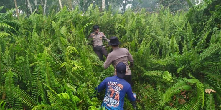 Upaya Memadamkan Kebakaran Hutan di Dusun Mulyorejo, Kapolres Kubu Raya: Tetap Semangat Ojo Kendor