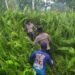 Upaya Memadamkan Kebakaran Hutan di Dusun Mulyorejo, Kapolres Kubu Raya: Tetap Semangat Ojo Kendor