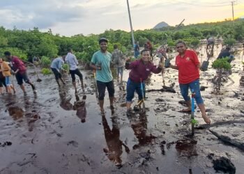 Peringati Hari Lingkungan Hidup Sedunia 2023, BEM Nusantara Suarakan Stop Deforestasi Hutan Hingga Buang Limbah di Teluk Youtefa Papua