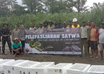 Jaga Kelestarian Dari Kepunahan, Danramil 1710-03/Kuala Kencana Hadir Sekaligus Pengamanan Kegiatan Pelepasliaran Satwa