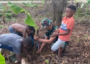 Dongkrak Ekonomi, Satgas Yonif 143/TWEJ Ajak Berkebun Masyarakat Papua