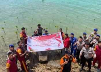 Penanaman Mangrove Yang Dilaksanakan Di Wilayah Hukum Polres Kepulauan Anambas
