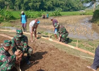 Permudah Angkut Hasil Tani, Babinsa Koramil Mojosongo Bantu Betonisasi Jalan Pertanian