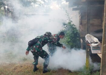 Konsistensi Satgas Yonif 143/TWEJ Bantu Masyarakat Berantas Malaria