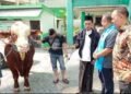 Achmad Rubaie Ketua Harian PAN Jatim: Pembagian Sapi Limousin 1,2 Ton Ke PWM dan PWNU Jatim, Bagian Memperkuat Ukhuwah