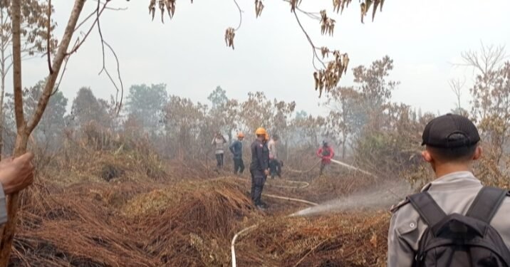 Brimob Kalbar Dengan Sigap Terjunkan Tim SAR Padamkan Api Karhutla yang Terjadi