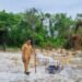 Apresiasi Dari Masyarakat Atas Prestasi Riyan Dalam Menakhodai Bahtera Busung Panjang Yang dinilai warga Sebagai Kades Teladan.