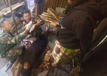 Satgas Yonif 143/TWEJ Tangani Warga Pendarahan Pasca Melahirkan di Papua