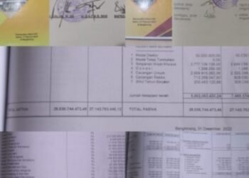 Akuntan Publik Jebolan USU Sebut LPJ KPRI Prima Husada Dibuat Asal-Asalan?