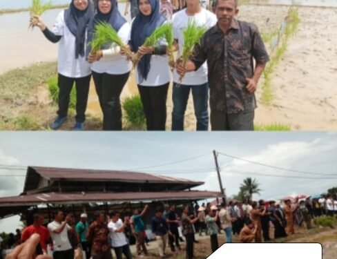 Gerakan Nasional Pengendalian Inflasi Pangan (GNPIP) Aceh 2023