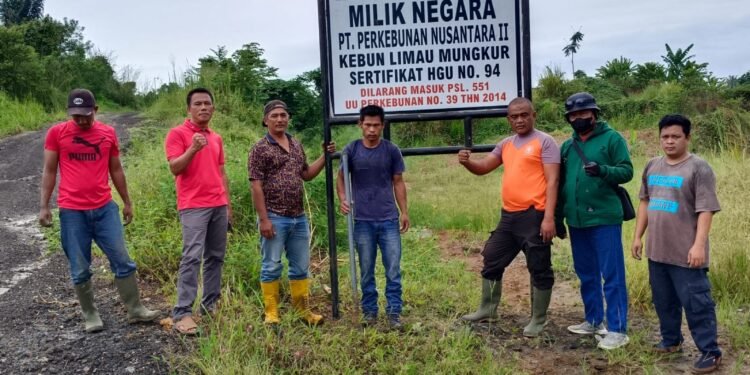 PTPN 2 Lanjutkan Okupasi HGU 94 Kebun Limau Mungkur, Penggarap Sudah 2 Kali Disomasi