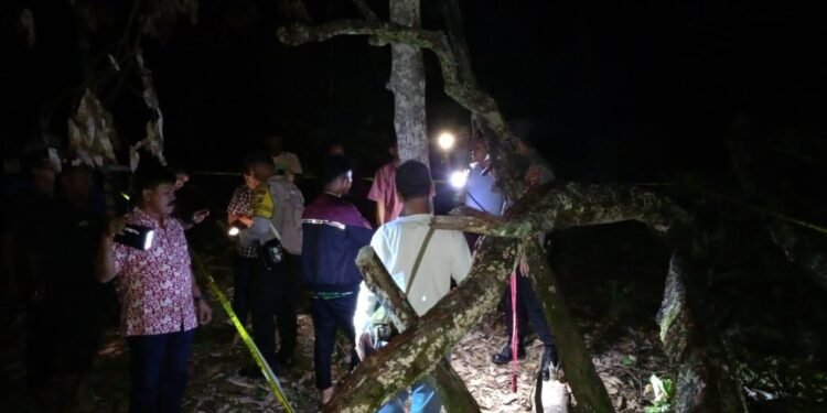 Menggegerkan,,!! Seorang Wanita Ditemukan Tewas Gantung Diri di Pohon
