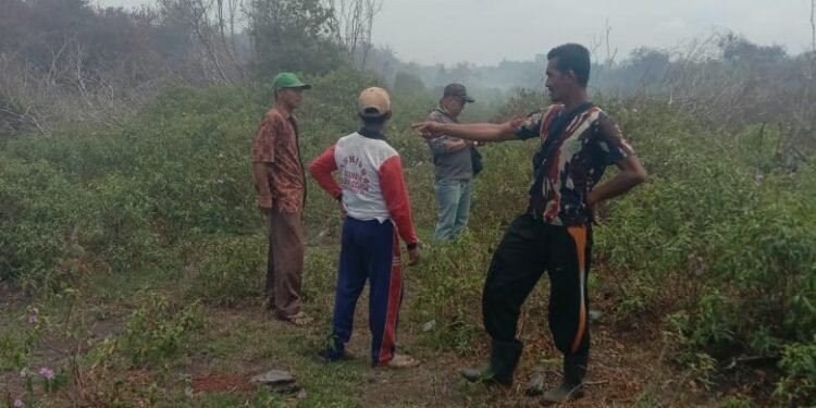 Investigasi Media Terkait Kebakaran Lahan Cetak Sawah di Dusun Mesrai Desa Resang, Ini Keterangan Kades.