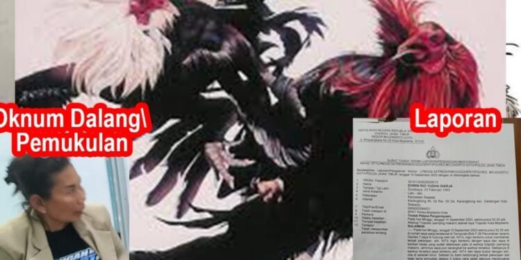 Sindikat Dari Salah Satu Oknum Kalangan 303 Desa Pal Kecamatan Pagelaran Malang Jawa Timur, Lakukan Penganiayaan Kepada Jurnalis, Usut Tuntas !!!
