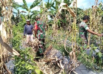 Sarana Jalin Keakraban Serta Perkokoh Kemanunggalan, Babinsa Koramil 1710-07/Mapurujaya Rutin Komsos Bersama Warga Binaan