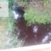 Masyarakat Menjerit Akibat Ulah PT SIR Buang Limbah Ke Aliran Sungai di Dua Desa Bongkal Malang dan Desa Tua Pelang