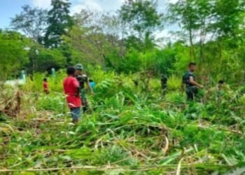 Sambut Momen Natal Bersih, Damai dan Indah, Satgas Yonif 122/TS Bersama Masyarakat Jampung Kalipay Melaksanakan Karya Bhakti