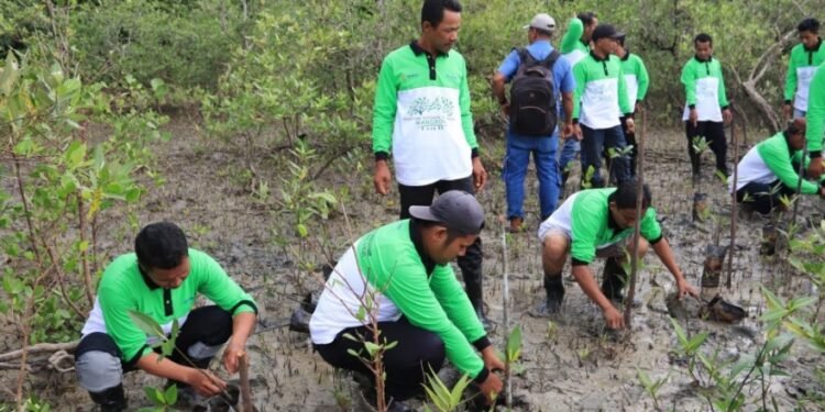 Jaga Ekosistem Pesisir dan Cegah Abrasi, PT Timah Tbk Tanam 12.000 Mangrove di Pesisir Pantai di Kundur