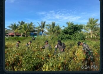 Manfaatkan Lahan Tidur Untuk Ketahanan Pangan di Wilayah Perbatasan RI-PNG