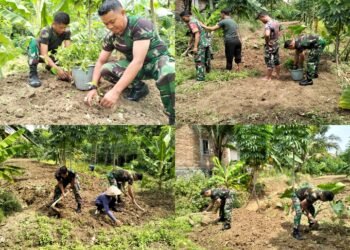 Wujudkan Ketahanan Pangan, Koramil Kemusu Manfa’atkan Lahan Kosong