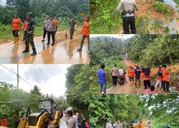 Quick Respon Polsek Palmatak Datangi Lokasi Tanah Longsor Di jalan Desa Matak