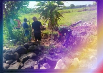 Perlancar Irigasi, Babinsa dan Warga Bangun Talud