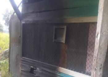 Serangan OPM Terhadap Apkam, Resahkan Masyarakat Papua