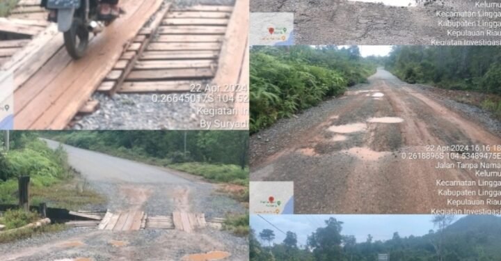 POLIBER Berharap Gubernur Kepri Perhatian Jalan Rusak Menuju Pelabuhan Roro Penarik Kabupaten Lingga.