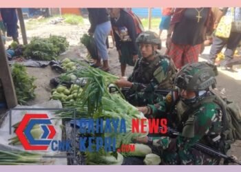 Buaya Putih Cinta Papua, Stabilkan Roda Ekonomi Masyarakat Dengan Borong Hasil Tani