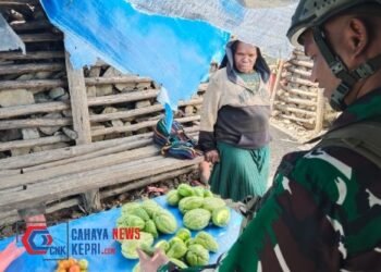 Ksatria Buaya Putih Kembali Borong Habis Hasil Tani Mama Papua