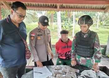 Selamatkan Generasi Muda Indonesia, Satgas Yonif 122/TS Gagalkan 1,1 KG Ganja Siap Edar Diperbatasan