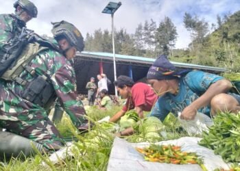 Satgas Yonif 323 Buaya Putih Pos Beoga Tingkatkan Perekonomian Masyarakat Beoga