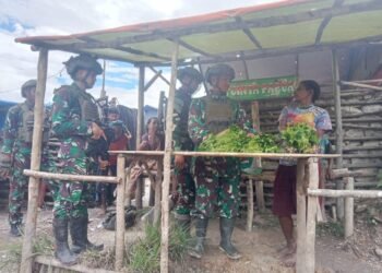 Dengan Rosita Yonif 323 Buaya Putih Gerakkan Roda Perekonomian Masyarakat Puncak