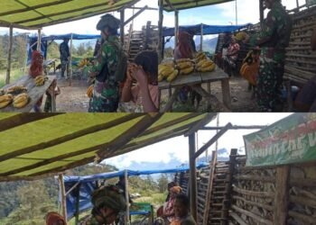 Kurangi Permasalahan Kemiskinan, Satgas Yonif 323 Buaya Putih Gelar Rosita