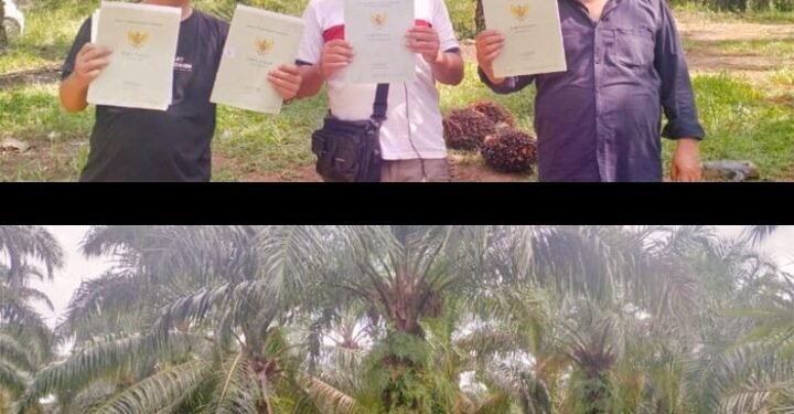 Konflik Lahan di Muara Burnai 1 OKI, Kedua Belah Pihak Saling Lapor