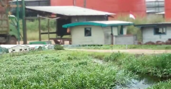 Limbah Pabrik BPG Ancam Kesehatan Warga, Perusahaan Diduga Melawan Hukum