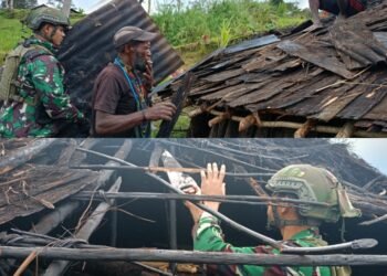 Satgas Buaya Putih Kostrad Gotong Royong Perbaiki Honai Masyarakat 
