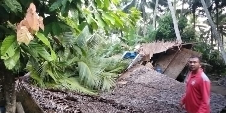 Musibah Rumah Ketimpa Pohon Kelapa di Desa Sungai Ular, Kasubid ll Darurat Logistik BPBD Langkat: Belum Terima Laporan Peristiwa 