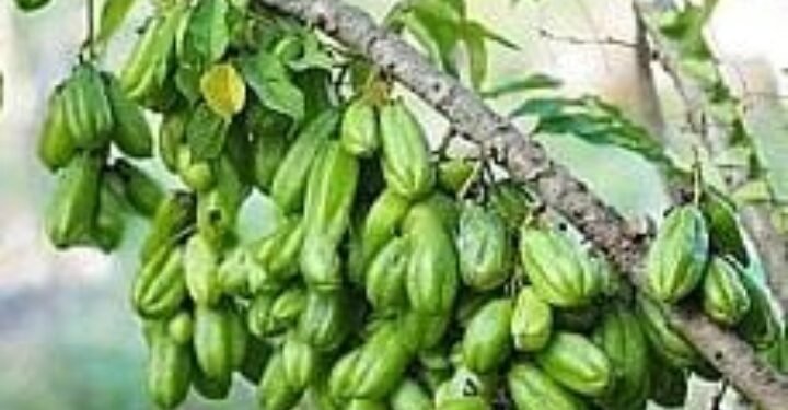 Rekonsiliasi Bangsa Indonesia Harus Diawali Dengan Upaya Penyelesaian Kasus & Pembersihan Skandal Masa Lalu