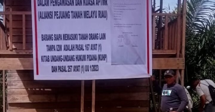 Penyerobotan Lahan Tanah Wilayat Desa Lubuk Bendahara, Oleh Oknum Tidak Bertanggung Jawab 