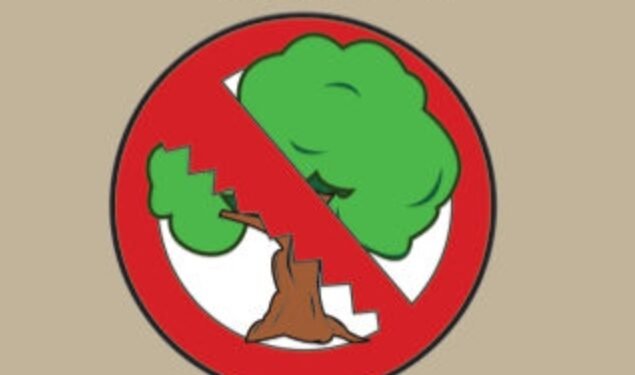 Coreng Nama Baik Profesi, Aparat Penegak Hukum Diminta Tindak Tegas Pelaku Ilegal Logging Oknum Wartawan.